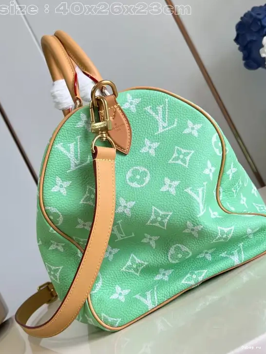40 Vuitton SPEEDY Louis 0519